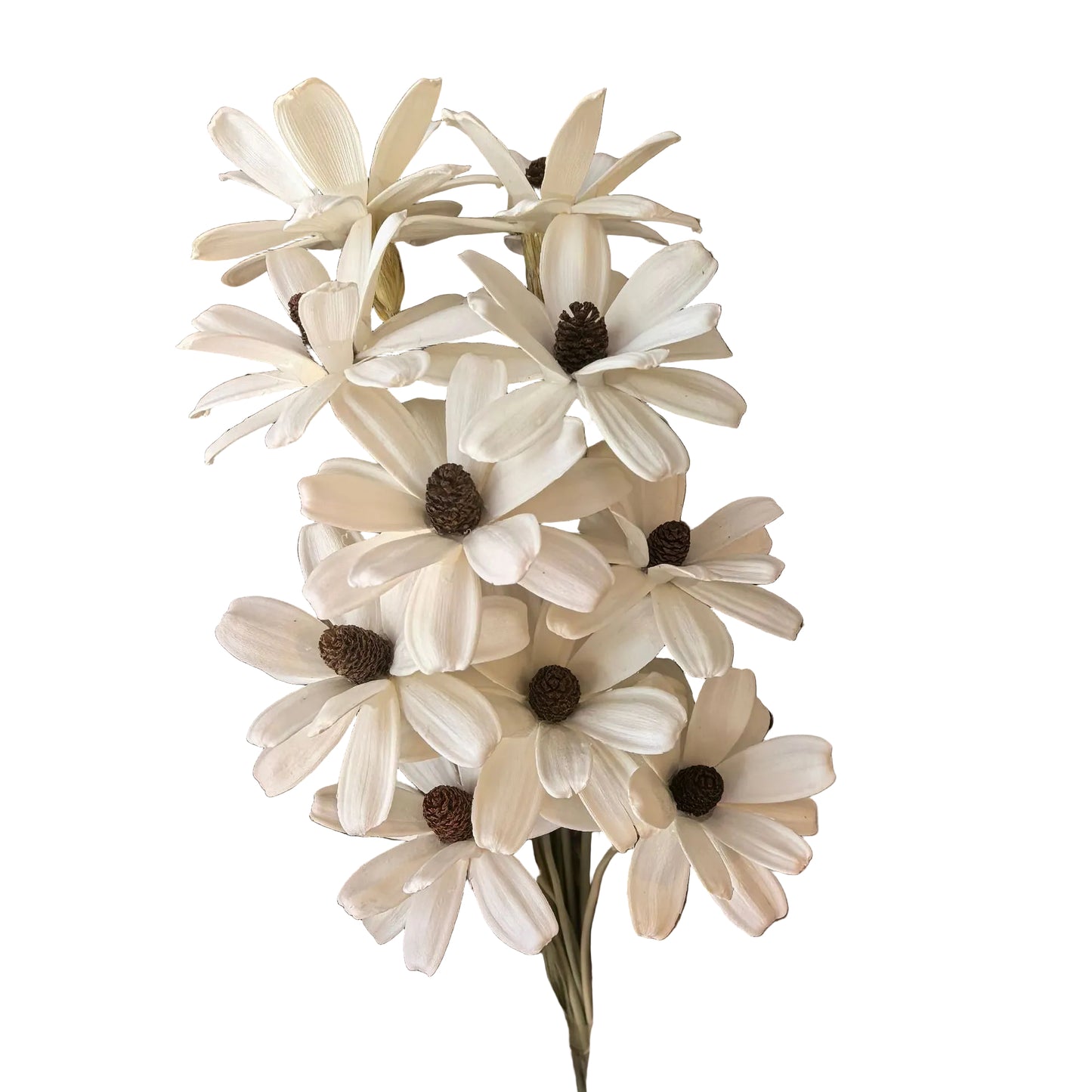 Handmade Daisy White
