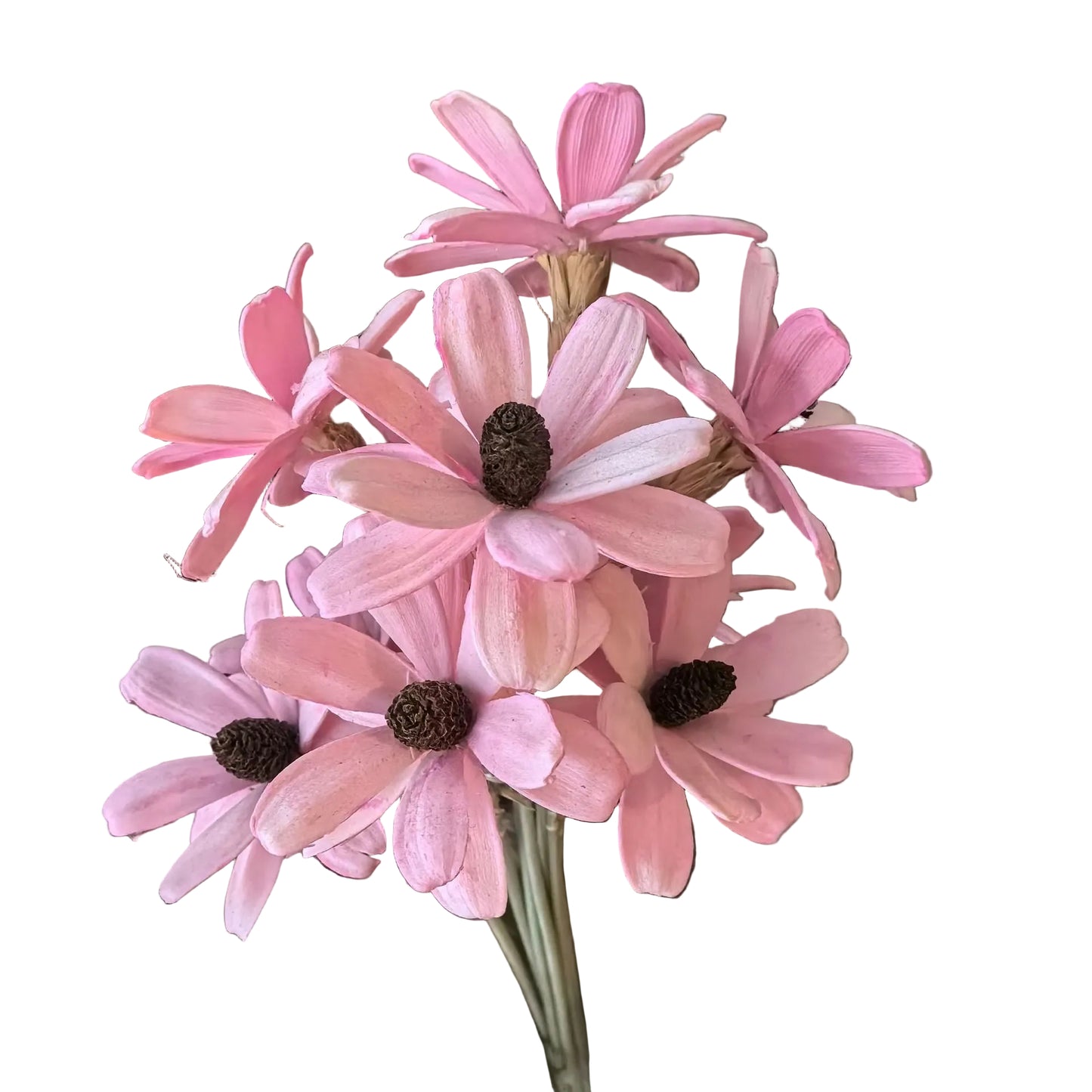Handmade Daisy Pink