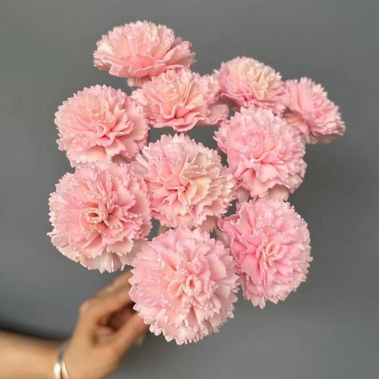 Sola Flower Carnation Pink