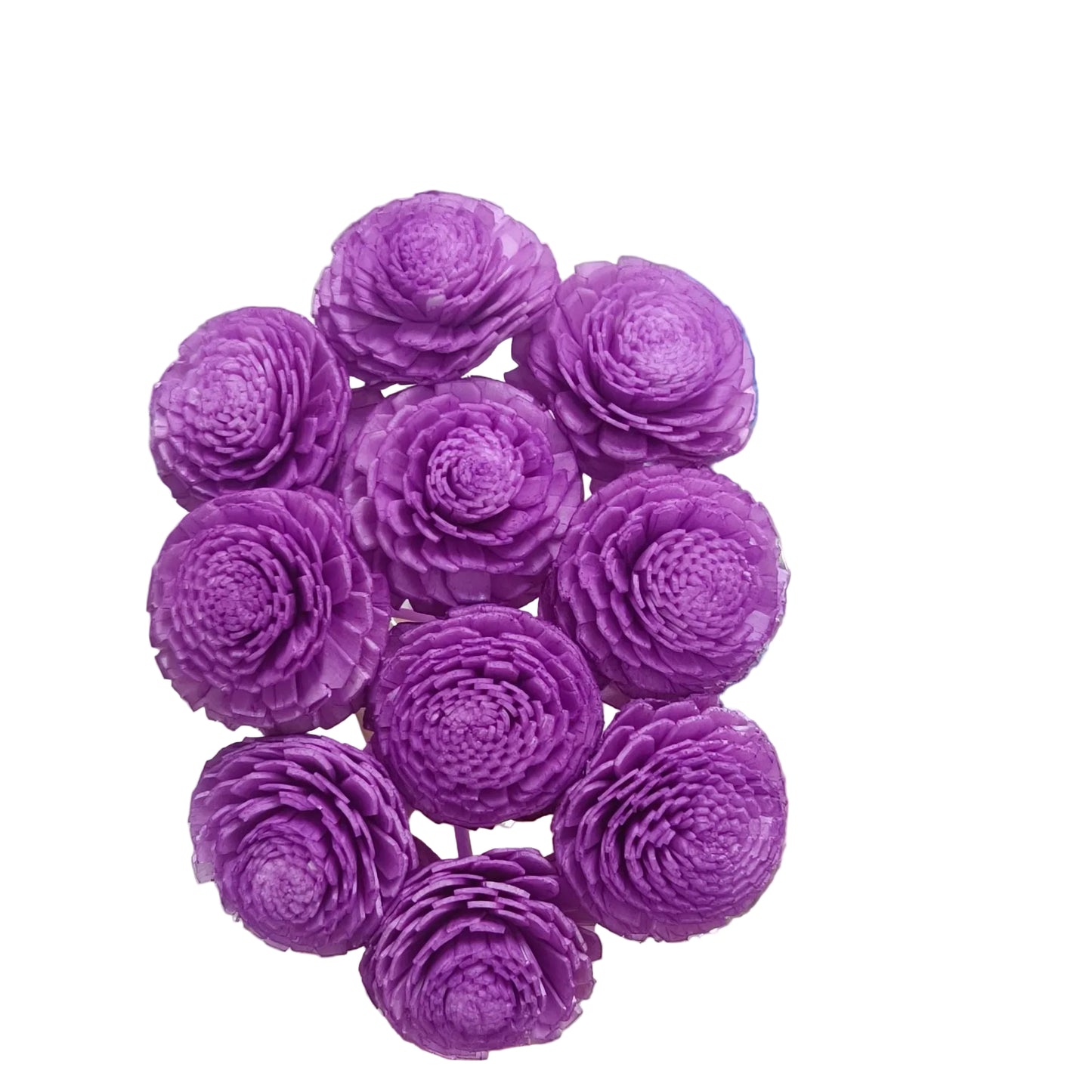 Sola Ranunculus Flower Purple