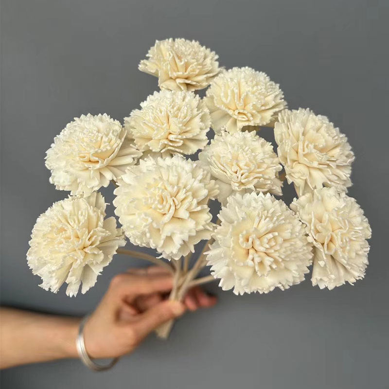 Sola Flower Carnation White