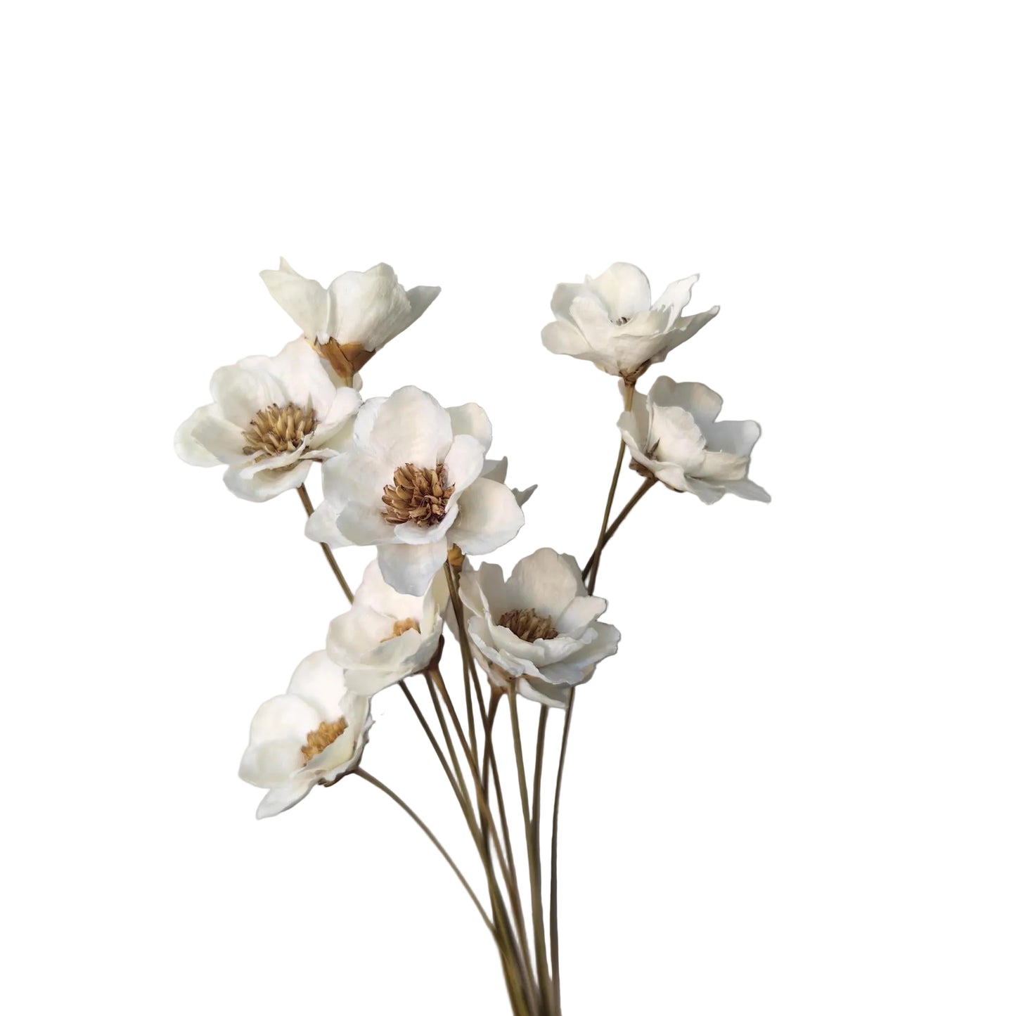 Handmade Anemone White