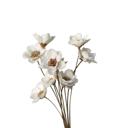 Handmade Anemone White