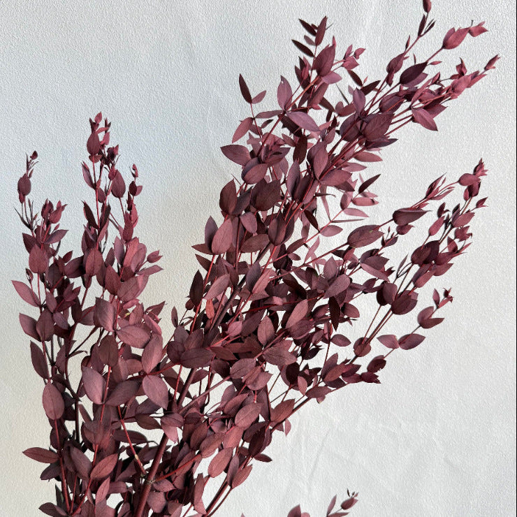 Preserved Seeded Gum Wine