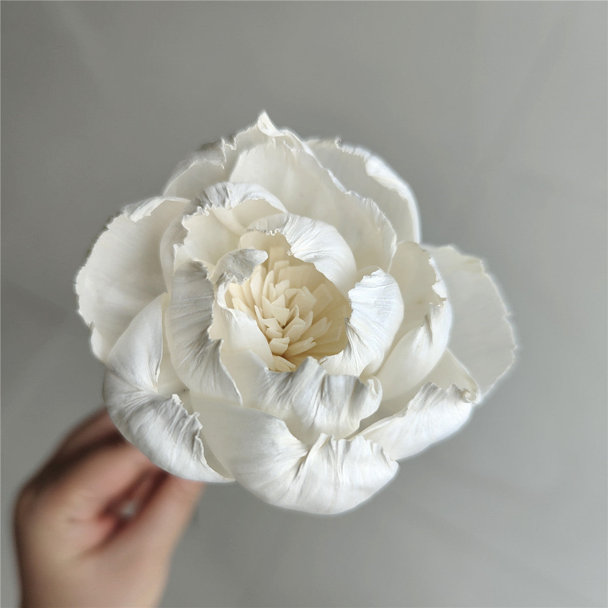 Sola Flower Peony White