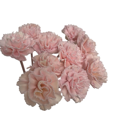 Sola Flower Carnation Pink