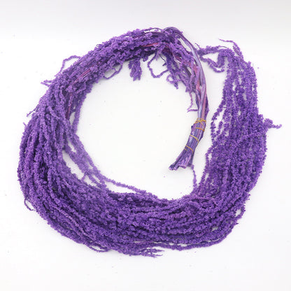 Preserved Amaranthus