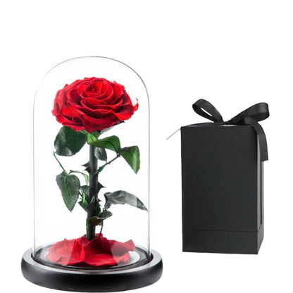 Small Rosé Dome Red Gift