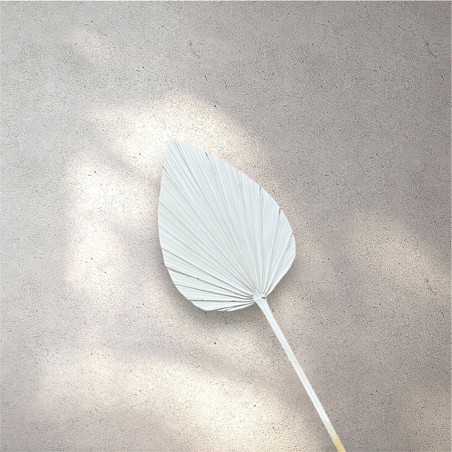 Small Palm Leaf Spray White Dried Flower