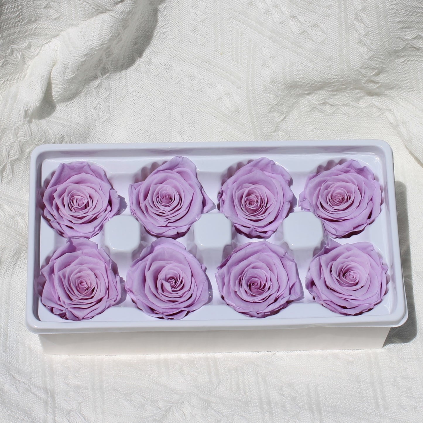 Preserved Rose Violet