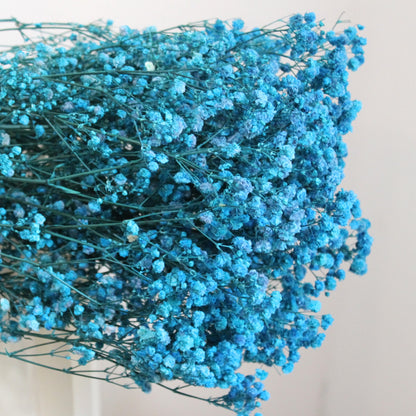 Baby's Breath Teal Blue