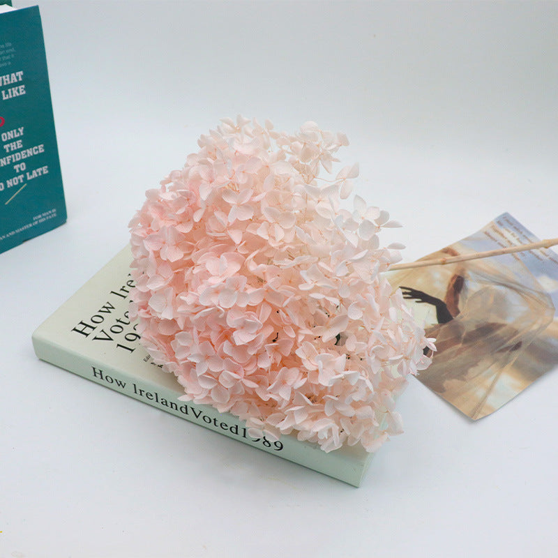 Hydrangea Light Pink Dried Flower