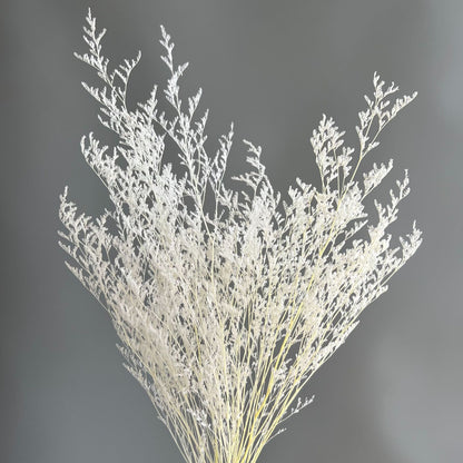 Preserved Misty White