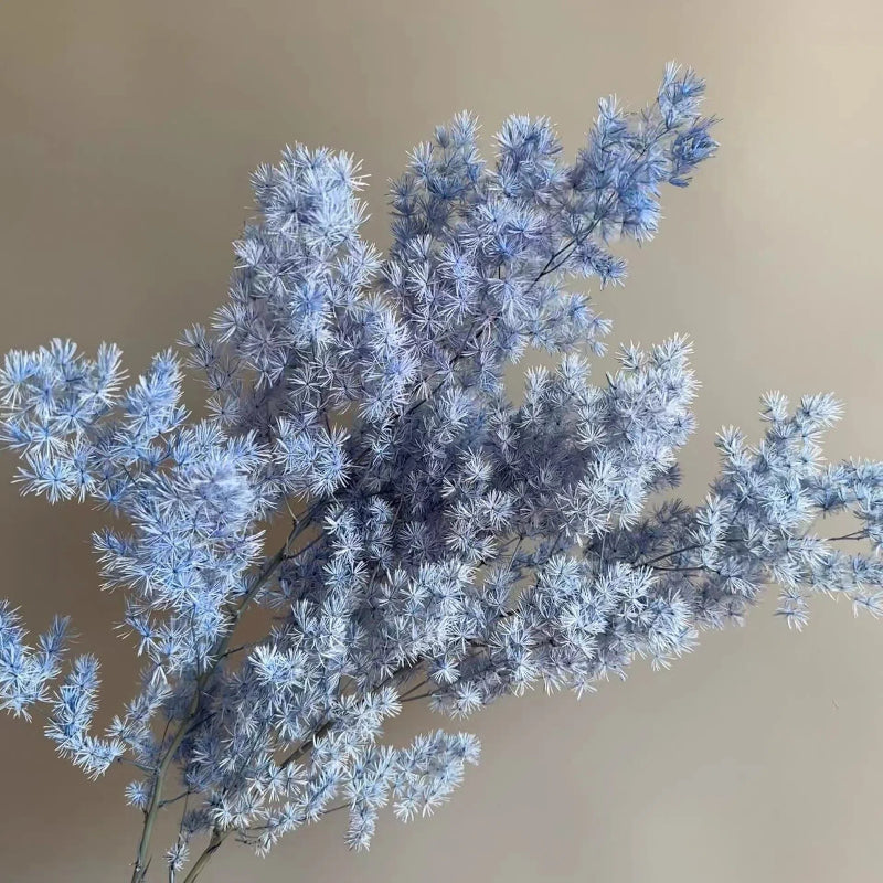 Ming Fern Dusty Blue